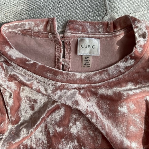 Cupio Velour Pink Blush Flounce Sleeve Empire Waist Top Sz S​​​ - Picture 6 of 6